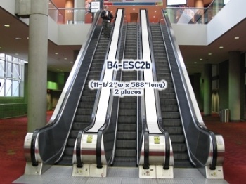 Picture of Escalator Runner B4-ESC2b - TIGERSTOP