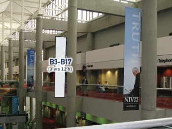 Picture of Flag Banner B3-B17